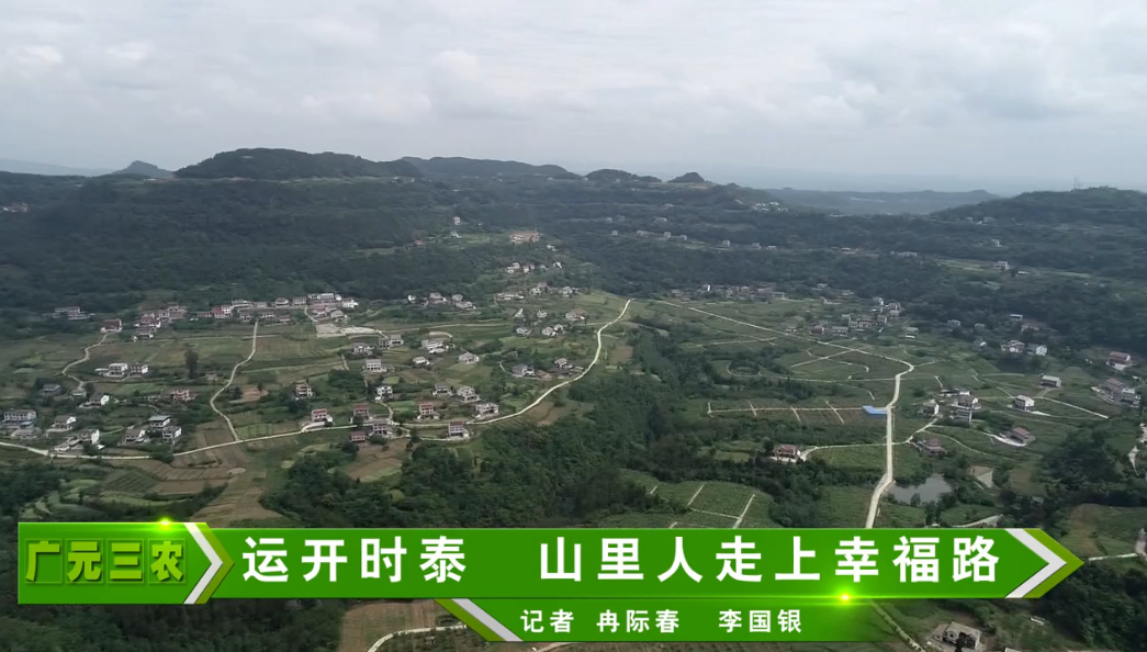 广元电视台《广元三农》栏目——走进苍溪县运山镇