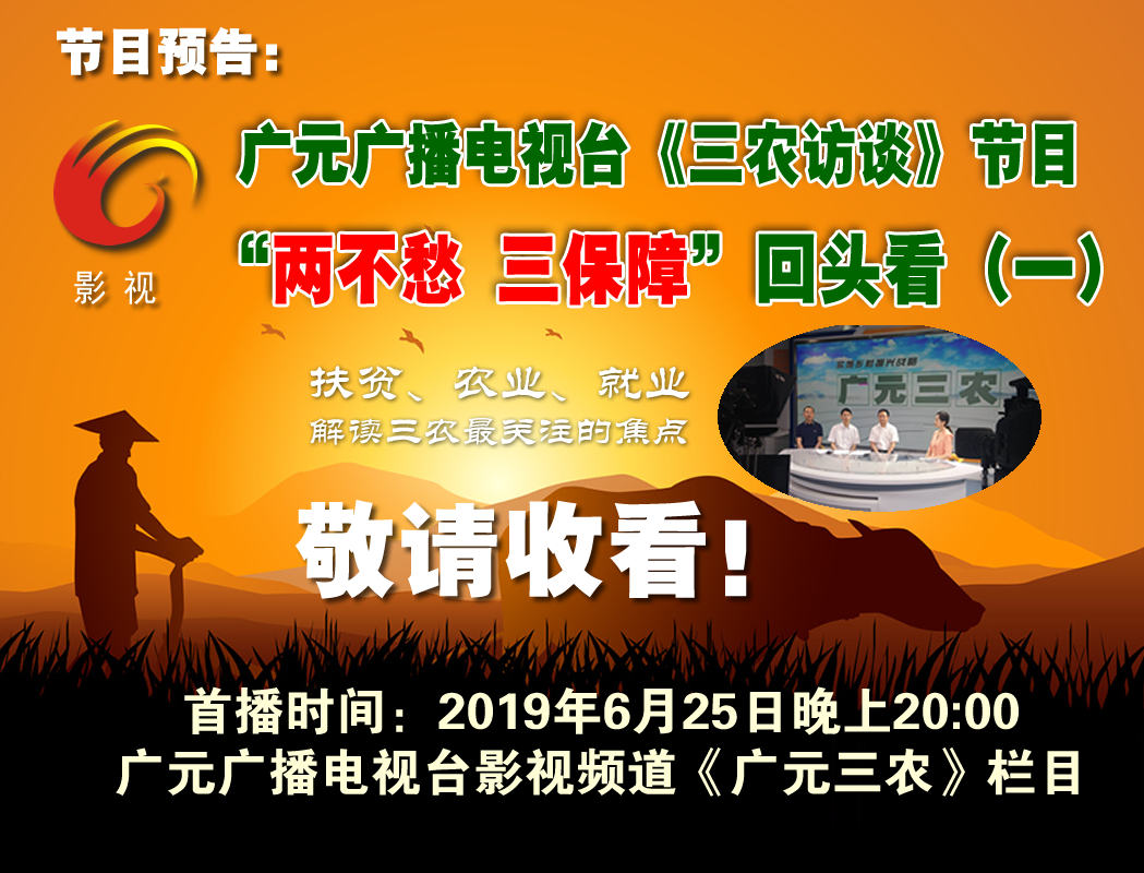 广元电视台《三农访谈》“两不愁三保障”回头看 明晚八点播出